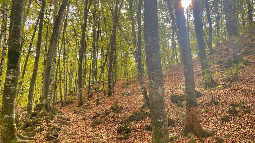 La Garrota en otoño, perfecta para rutas de senderismo
