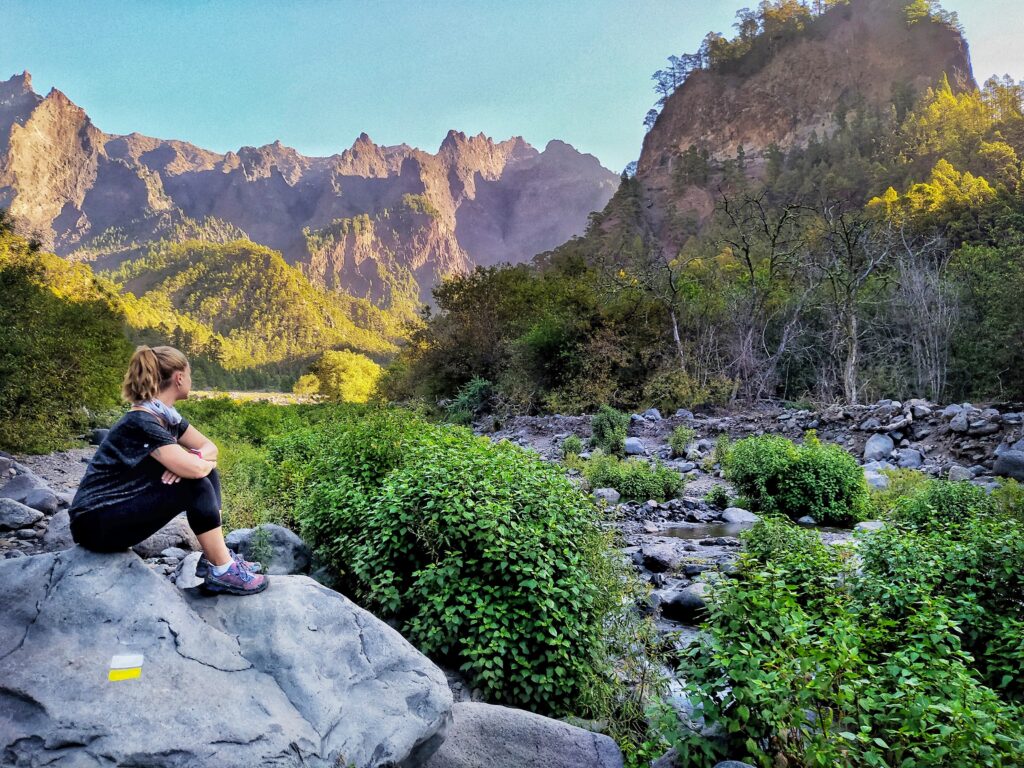 Navidad en La Palma 